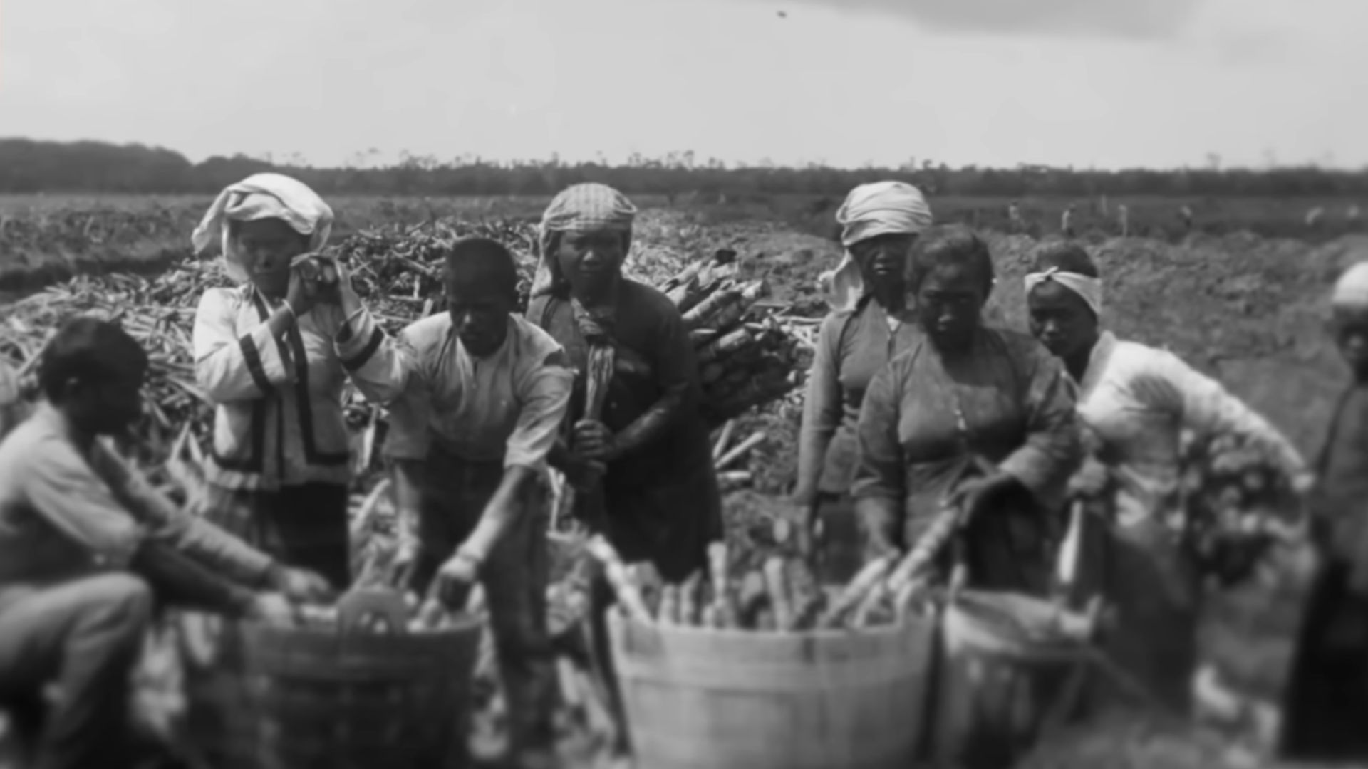 BUKTI SEJARAH: Masyarakat jawa bekerja untuk pabrik pengolahan gula di Suriname.