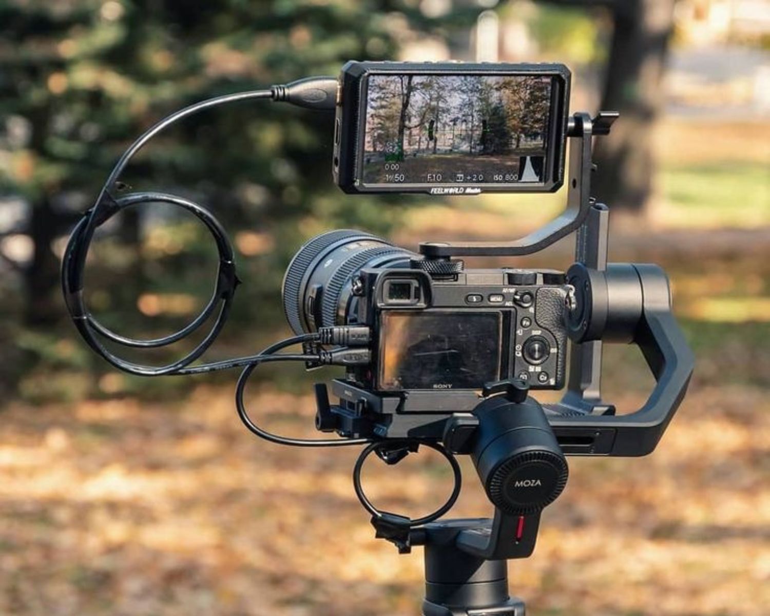 Kamera mirrorless lawas ini masih mampu melibas kamera keluaran terbaru