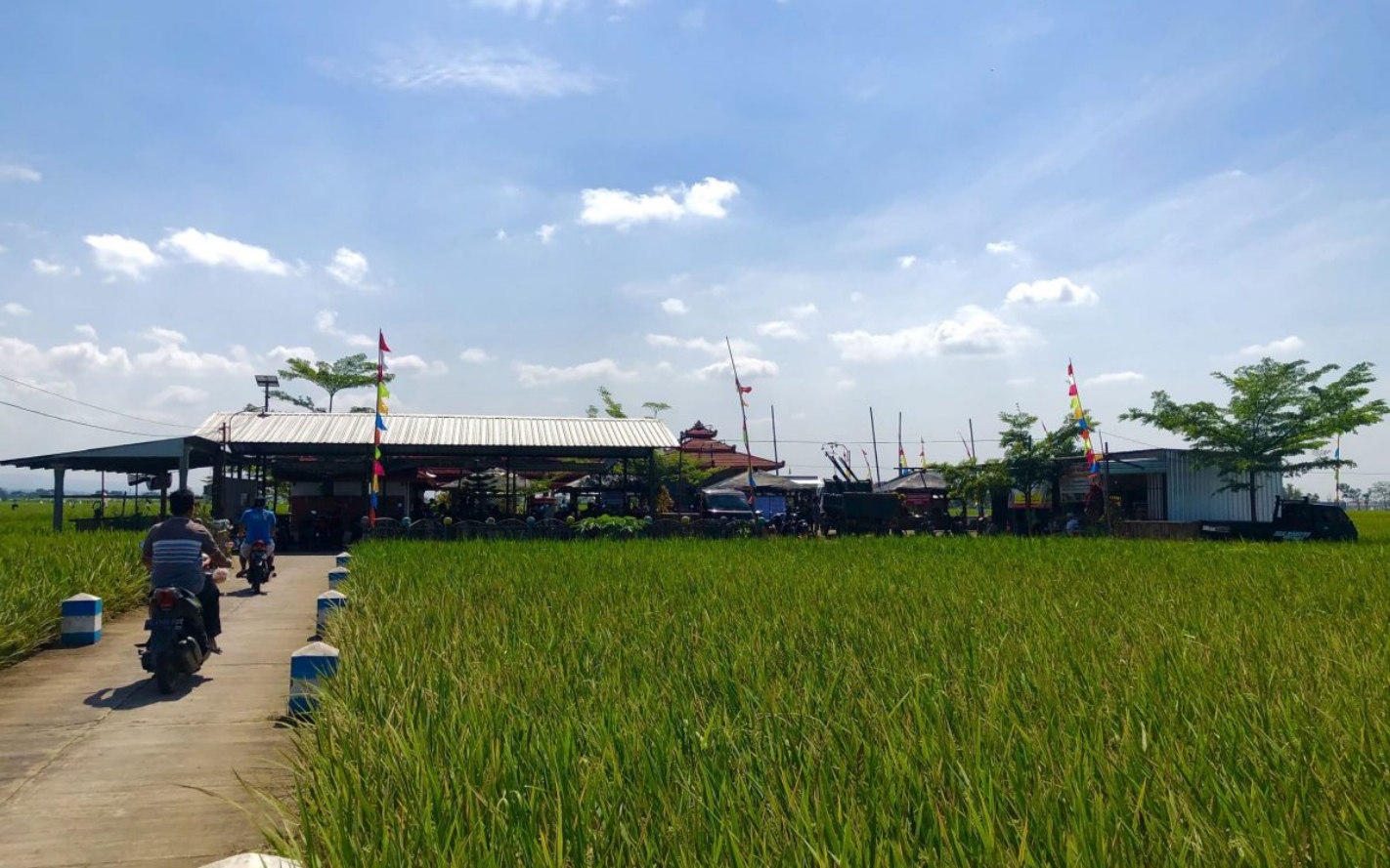 Taman Widawati di tengah hamparan sawah yang menghijau. (NGRENDENG.TULUNGAGUNGDARING.ID)