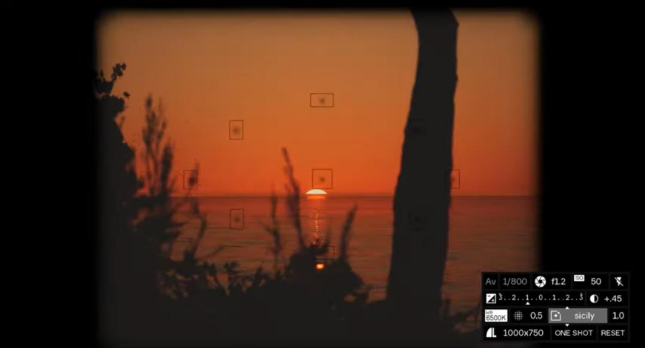 Lushfoil Photography Sim menawarkan tantangan bagi penggemar fotografi. (TANGKAPAN LAYAR YOUTUBE IGN)