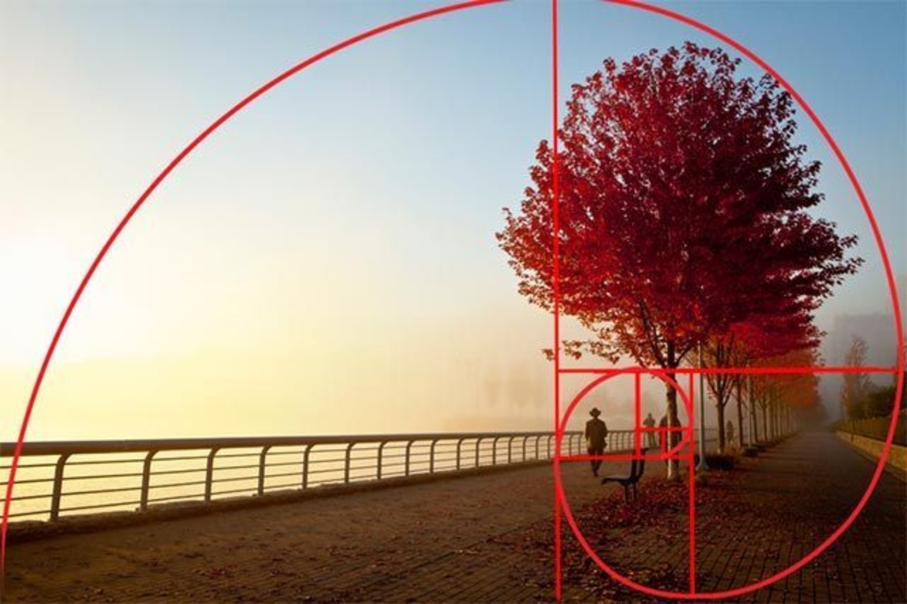 Skema penerapan golden ratio. (MUO OFFICIAL/PINTEREST)