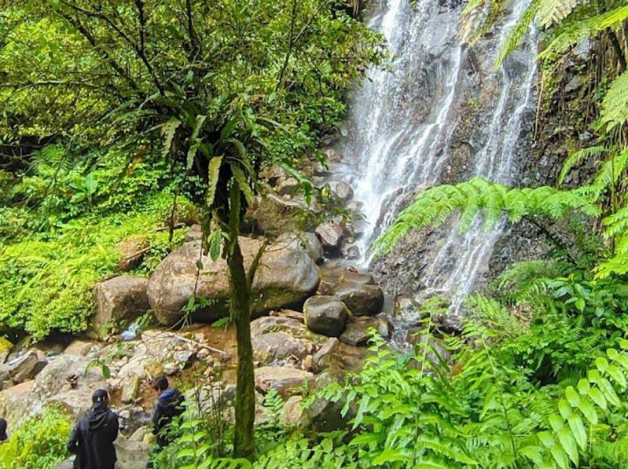 Air terjun Parang Kikis di Desa Gambiran, Kecamatan Pagerwojo cocok dikembangkan sebagai ekowisata. (WEB DESA GAMBIRAN)