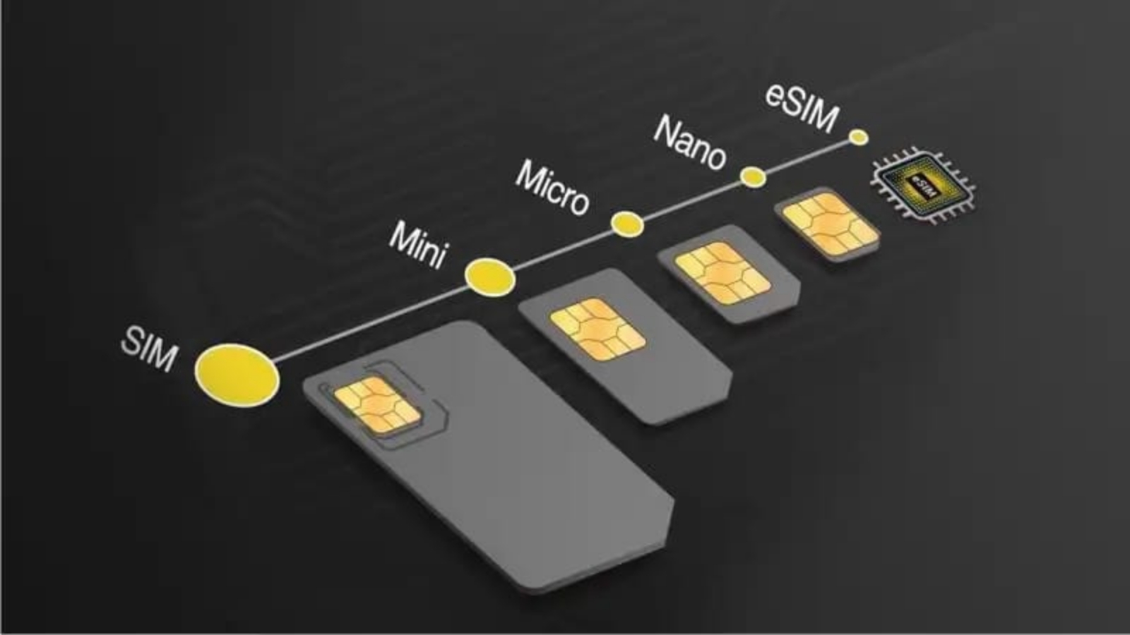 Tingkatan jenis SIM Card di penjuru dunia. (PEMMZCHANNEL)