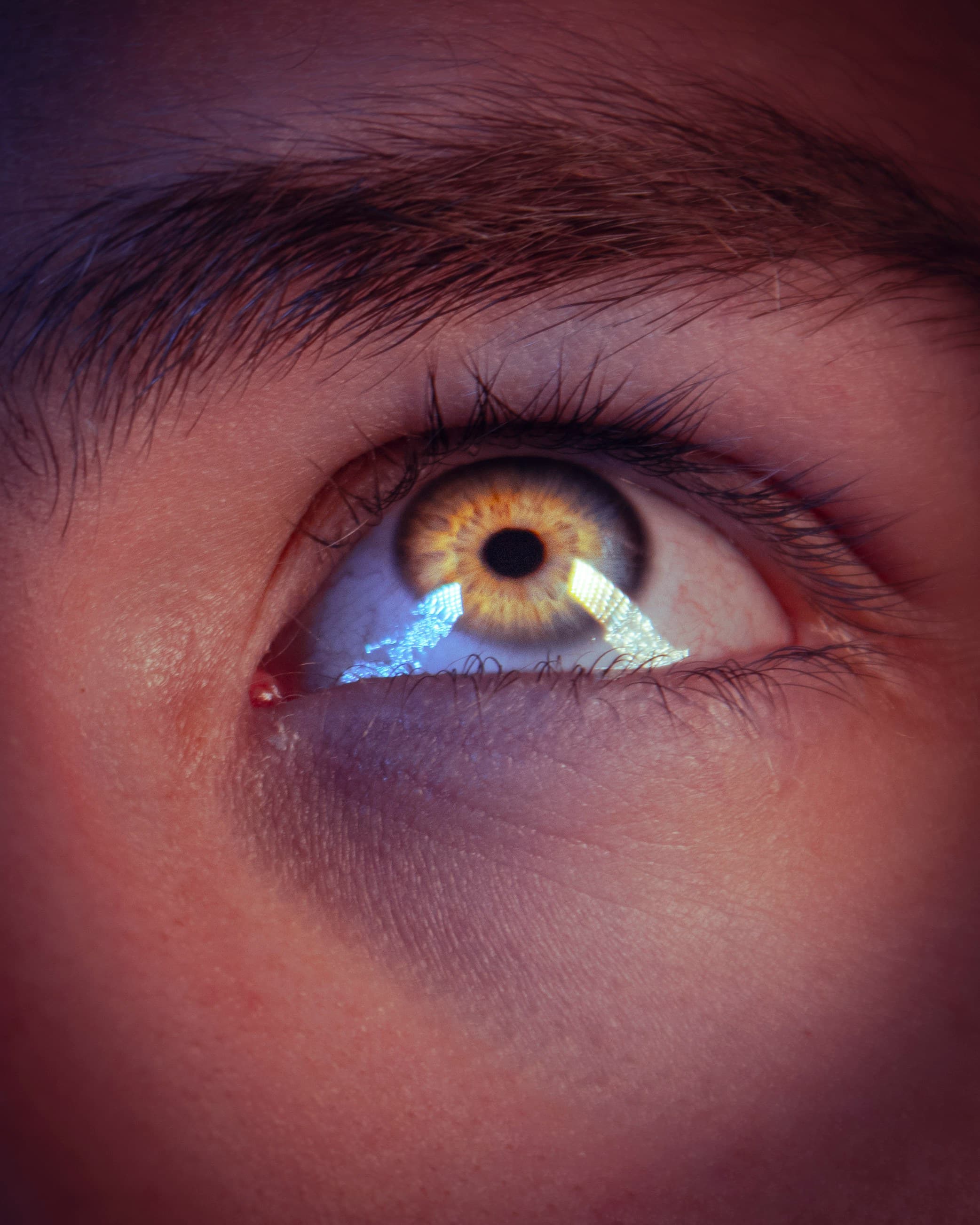 Ilustrasi pemindaian retina.(unsplash.com/Gabriel Meinert)