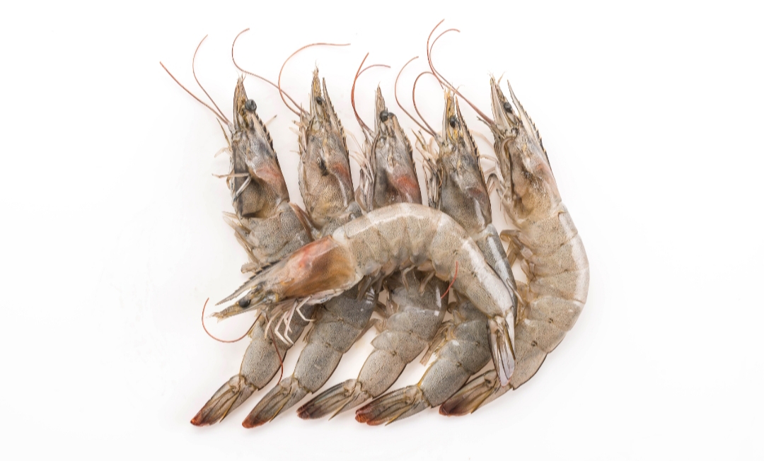 Tips Memilih Udang yang Segar Lurus atau Melengkung @topntp26 (freepik.com)