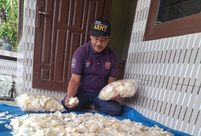 Seorang pelaku UMKM di Desa Sendang Tulungagung tengah menjemur kripik singkong rasa gadung, camilan khas yang kini pemasarannya telah menembus pasar luar negeri seperti Malaysia dan Hongkong