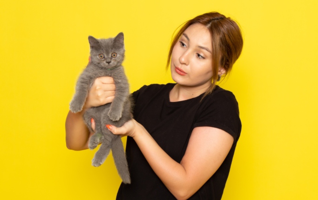 Tidak bisa marah dengan kucing @kamranaydinov (freepik.com)