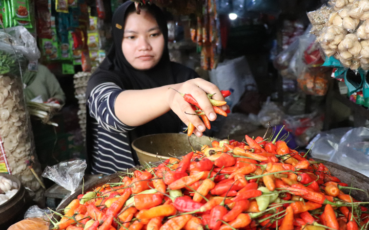 Seorang penjual cabai di pasaran Tulungagung sedang menunjukkan jenis-jenis cabai.