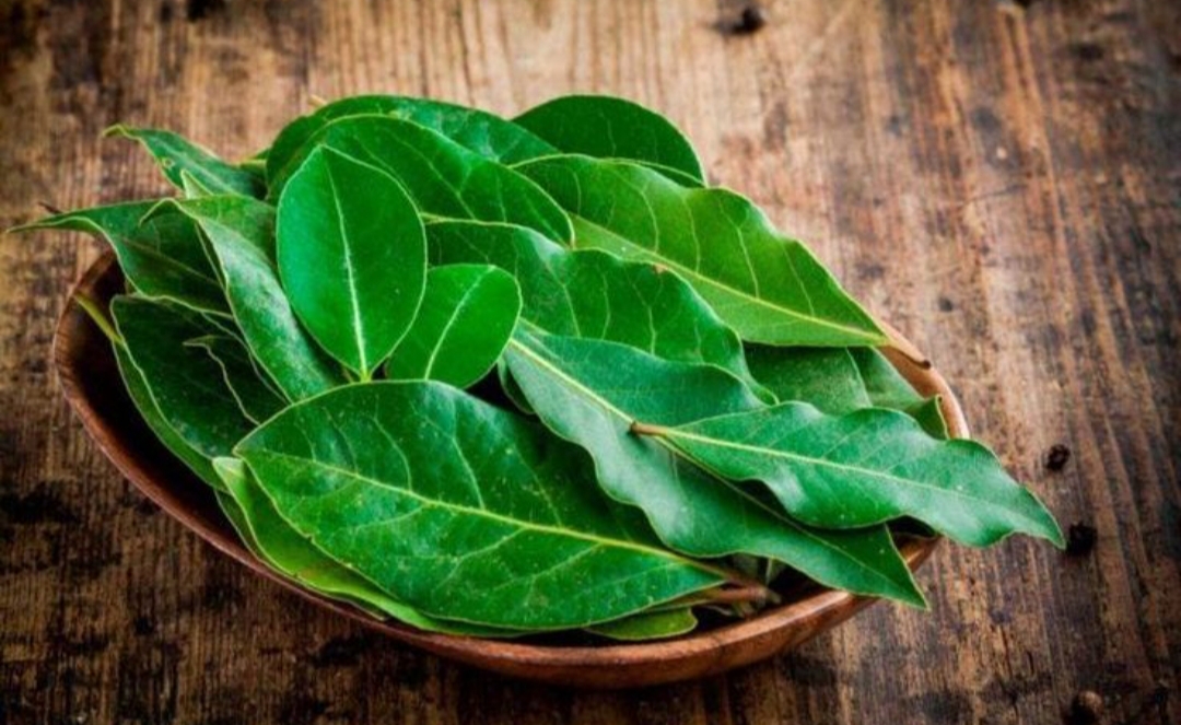 Daun salam banyak manfaat @etsy  (pinterest.com)