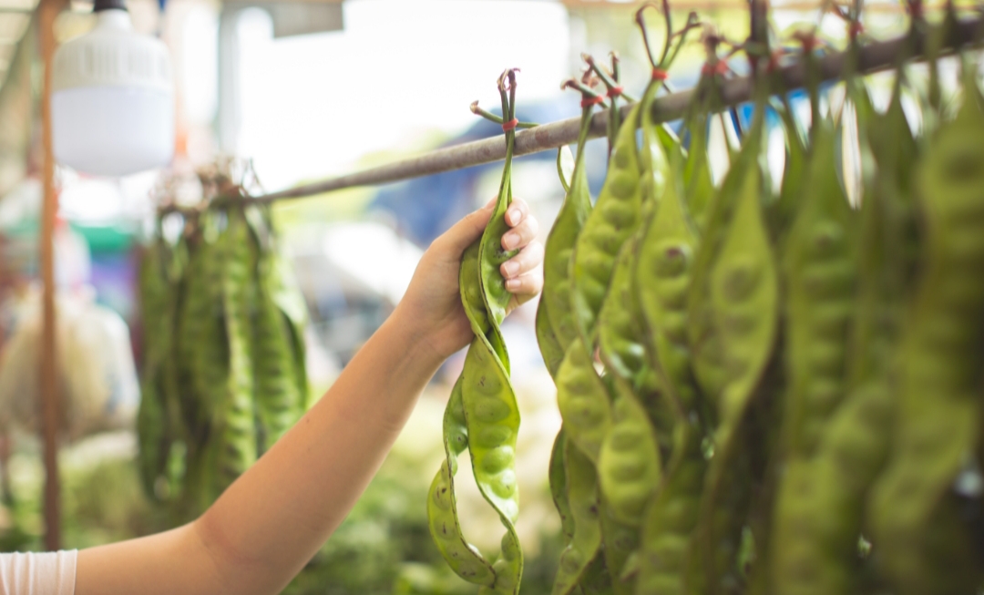 Pilihan banyak petai dan bermanfaat @jcomp (freepik.com)