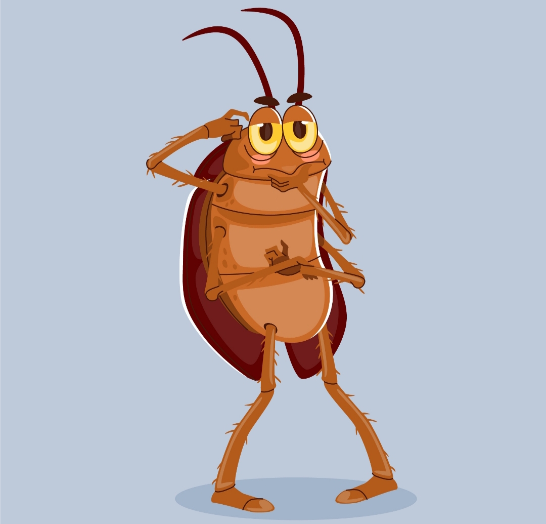 ilustrasi kecoa (freepik.com)