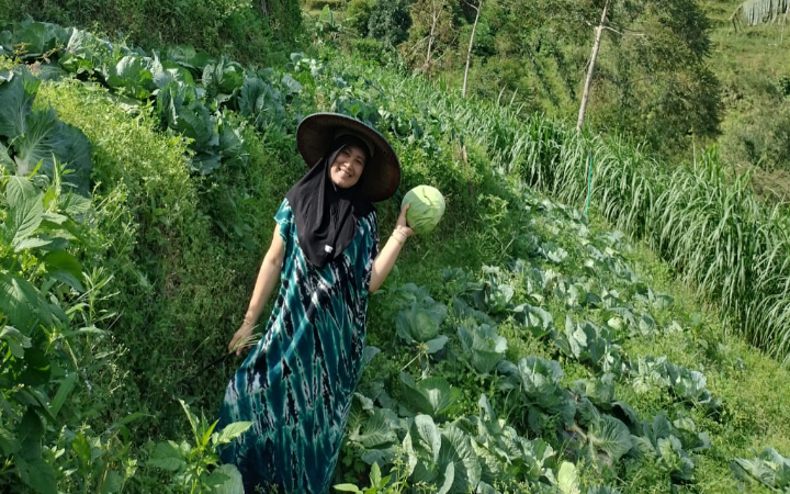 Lereng Gunung Wilis yang membentang di wilayah Kecamatan Sendang, Kabupaten Tulungagung, banyak menghasilkan sayur mayur segar.