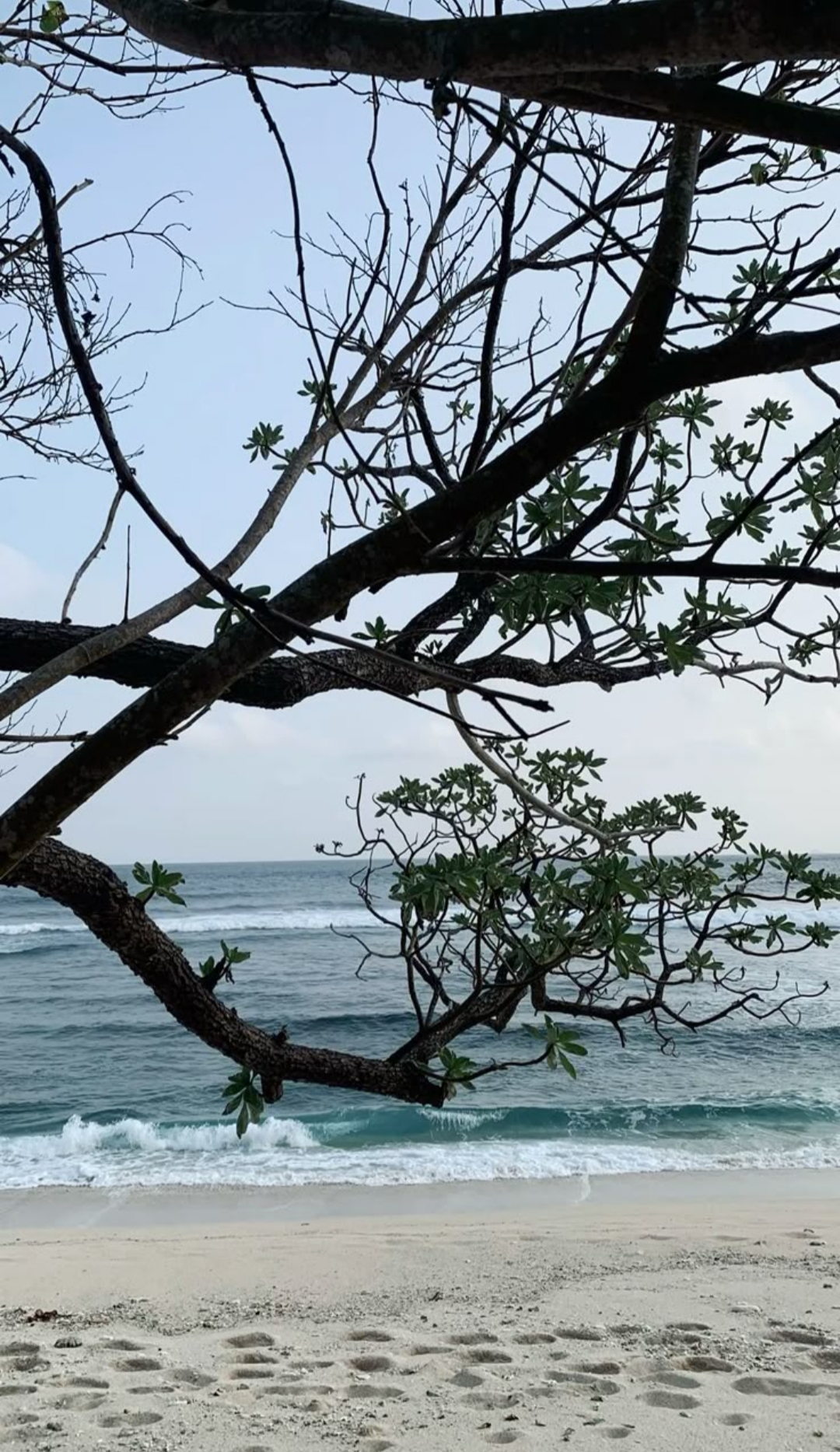 Pantai Ngalur Tulungagung salah satu wisata yang menarik pengunjung untuk disambangi saat wekeend. Pantai ini berada di JLS Tulungagung- Blitar.