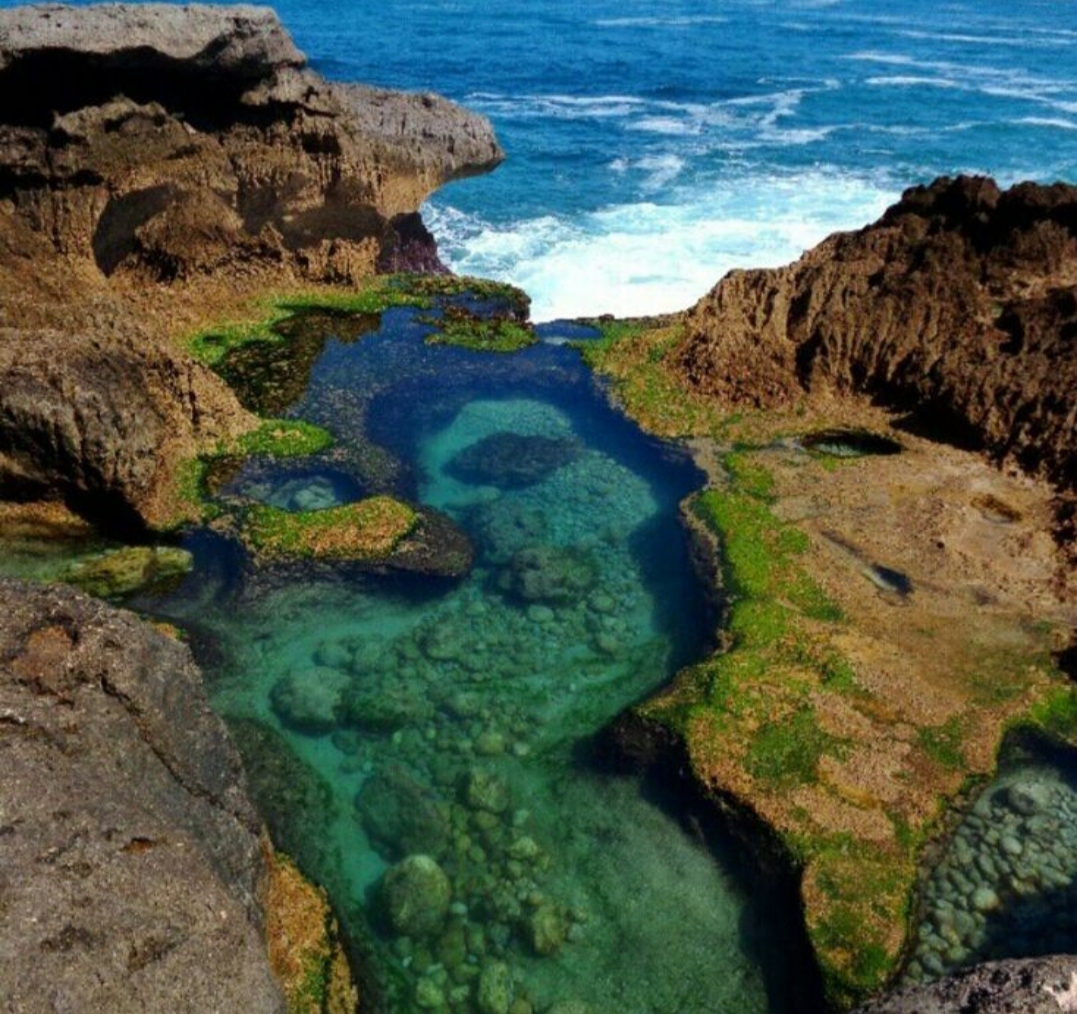 Tulungagung diam-diam menyimpan kekayaan alam luar biasa, terutama deretan pantainya yang memikat hati. Termasuk Pantai Kedungtumpang.