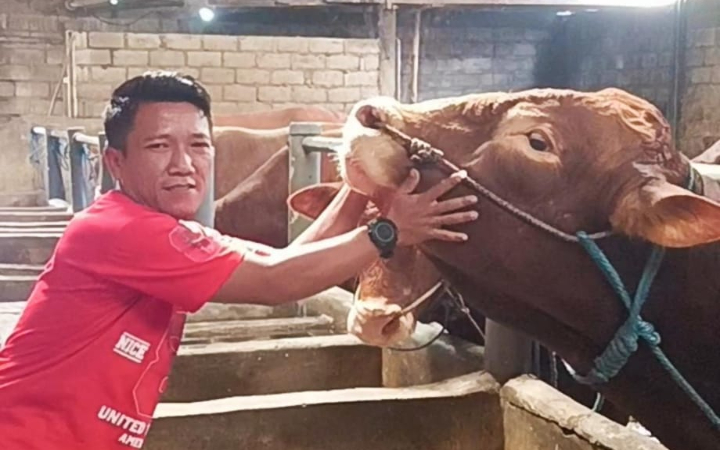 Di balik kesuksesan Agus Prasetyo, warga Desa Padangan, Kecamatan Ngantru, Tulungagung, yang sapinya dibeli Presiden Prabowo, saat Idul Adha ini ada sisi sedih.
