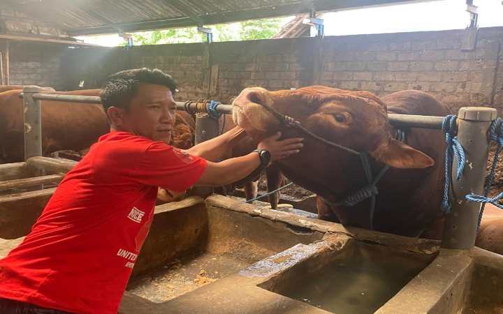 Sosok Agus Prasetyo, warga Desa Padangan, Kecamatan Ngantru, Tulungagung, memberikan sapi spesial untuk Presiden Prabowo di momen Idul Adha tahun ini.