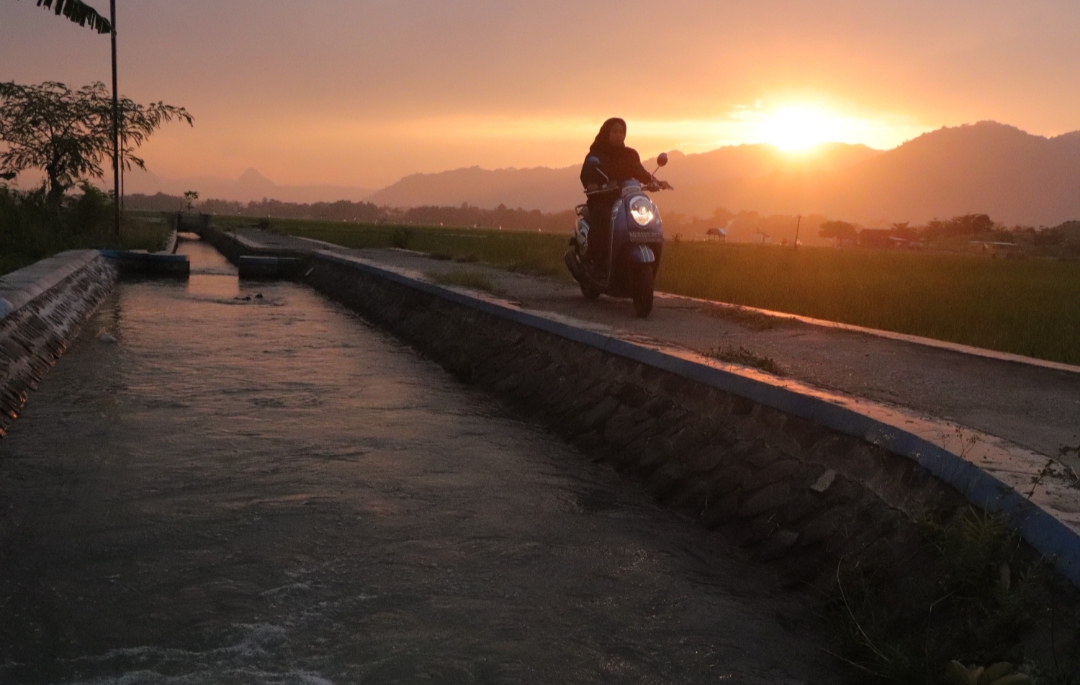 Memotret lanskap  irigasi sawah foto ini di ambil di Desa Bendungan, Kecamatan Gondang, Tulungagung, beberapa waktu lalu.