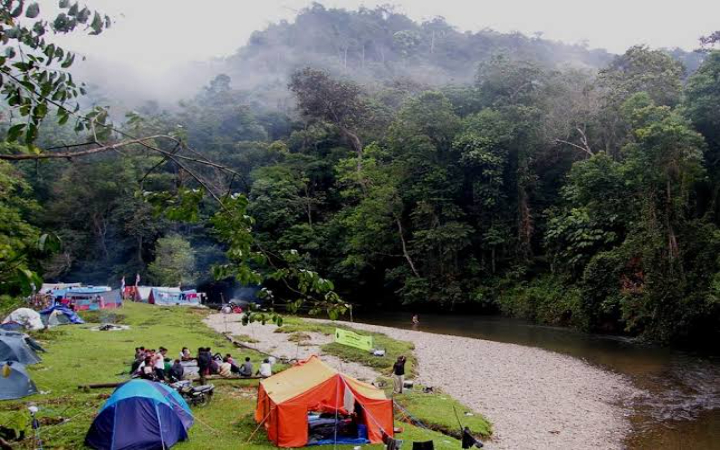Taman Nasional Bukit Tiga Puluh hadir di Raiu dan Jambi, sebagai oase keanekaragaman hayati dan warisan budaya.