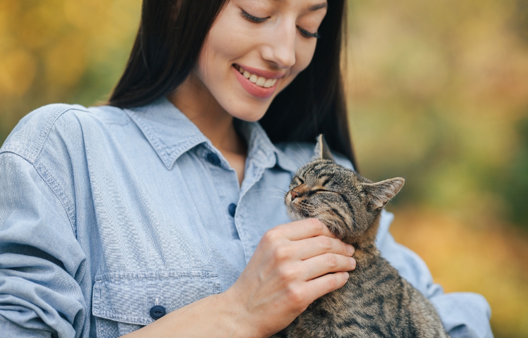 ilustrasi pecinta kucing spot - spot foto di tulungagung
