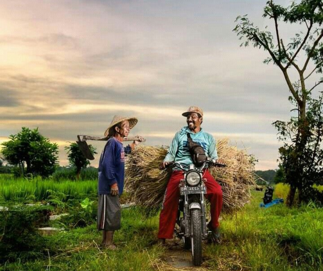 Naik motor ke sawah bukan hal aneh bagi warga Tulungagung.