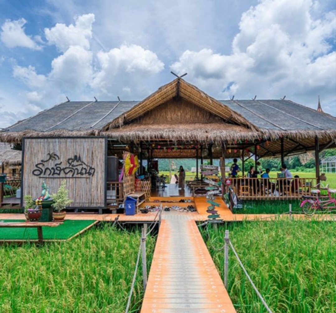 Warung kopi pinggir sawah kini menjadi pilihan unik yang menawarkan suasana berbeda lebih alami, santai, dan penuh cerita.