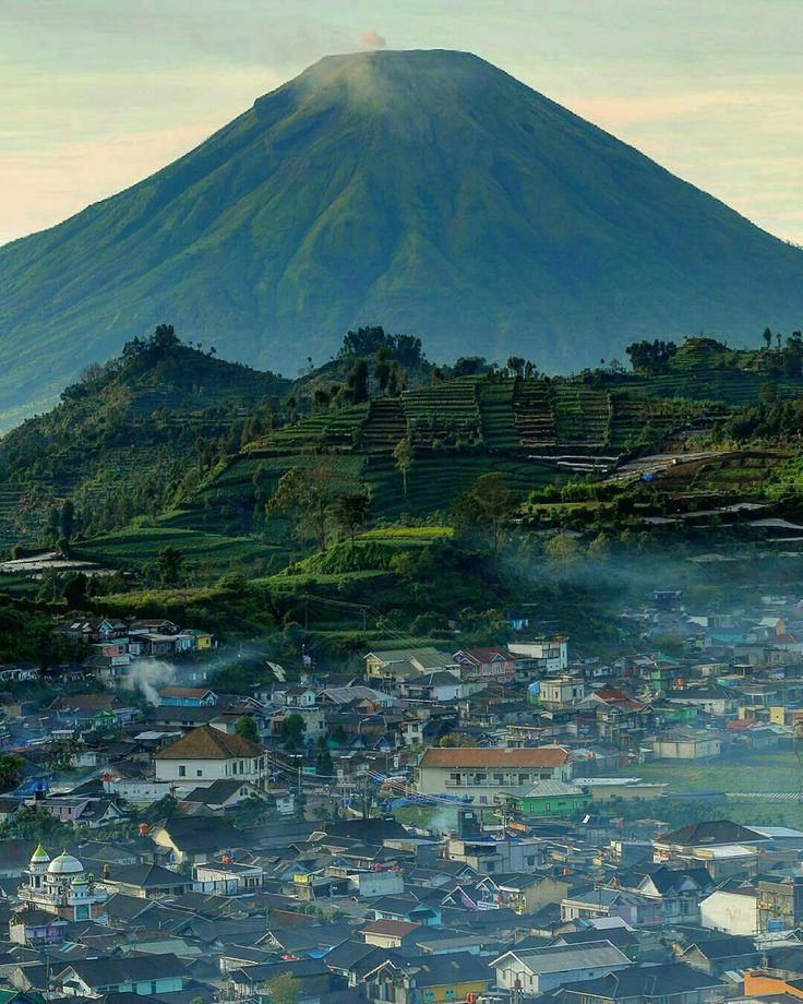 Wonosobo adalah sebuah kabupaten di Provinsi Jawa Tengah yang terkenal dengan udara sejuk, panorama alam memukau, dan budaya lokal yang kental.