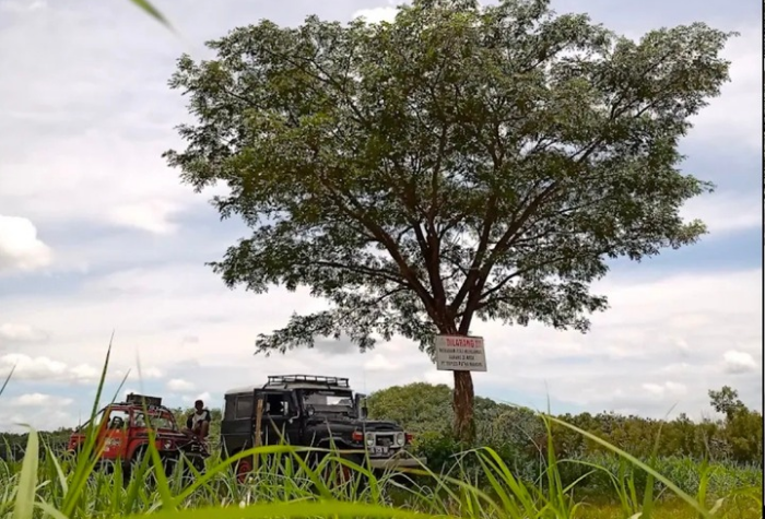 Saat masa liburan tiba, salah satu destinasi yang ramai dibicarakan di Tulungagung adalah Jamboland Wisata Off Road Srabah (JWOS).