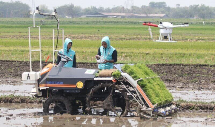 Di tengah pesatnya perkembangan teknologi dan urbanisasi, dunia pertanian Tulungagung justru menghadapi tantangan serius: krisis regenerasi petani.