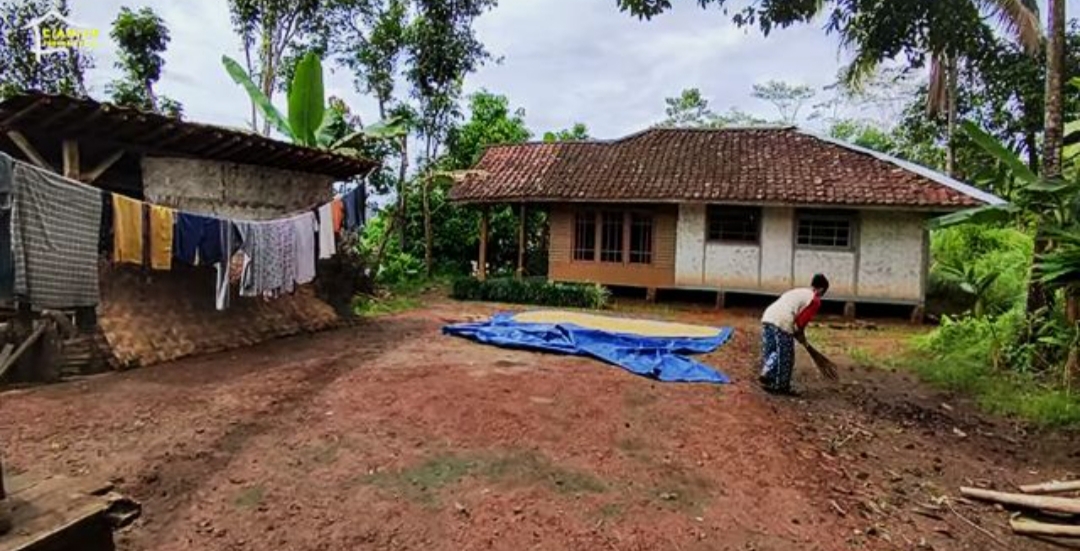 Di banyak kampung di Tulungagung, pagi hari bukan sekadar awal hari tapi sebuah ritual yang hampir sakral mulai menyapu halaman rumah.