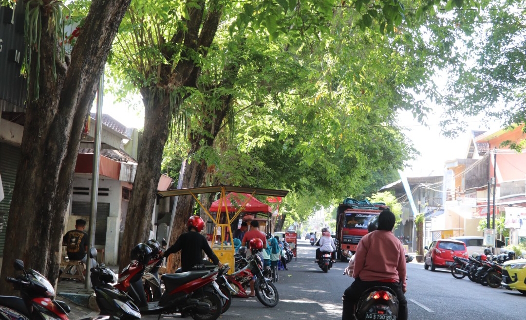 Di banyak sudut kampung di Tulungagung, ada satu pemandangan yang hampir selalu hadir pohon besar yang berdiri kokoh di pinggir jalan menjadi tempat janjian.