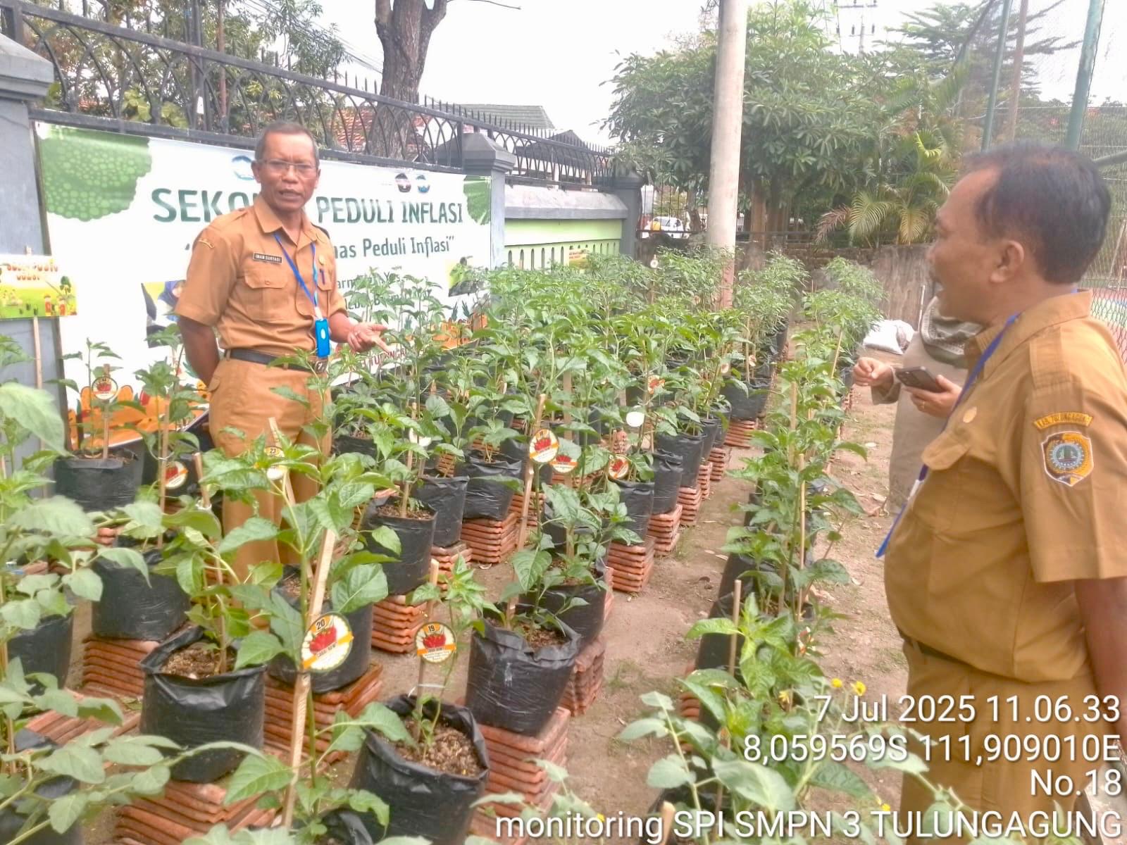 Menindaklanjuti program Sekolah Peduli Inflasi (SPI) dari Bank Indonesia, Dinas Pertanian (Dintan) Tulungagung mulai melaksanakan monitoring tahap awal pada Senin (7/7/2025).