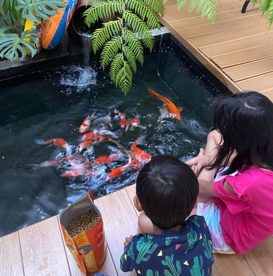 Di banyak sudut kampung Tulungagung, pekarangan rumah bukan hanya tempat menjemur pakaian atau menanam bunga. Di sana sering ditemukan kolam kecil untuk dinikmati keluarga.