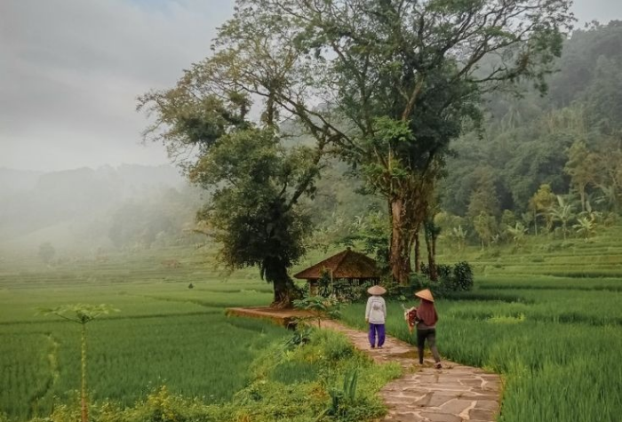 Bediding adalah istilah khas masyarakat Tulungagung untuk menyebut udara dingin saat musim kemarau.