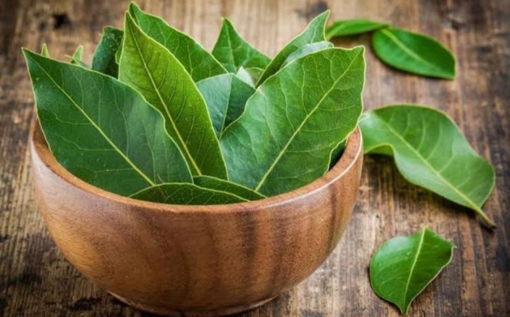 Daun salam (Syzygium polyanthum) bukan hanya bumbu dapur yang memperkaya cita rasa masakan Indonesia.