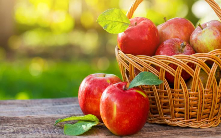 Apel adalah salah satu buah yang paling populer dan mudah ditemukan di seluruh dunia, termasuk di Indonesia.