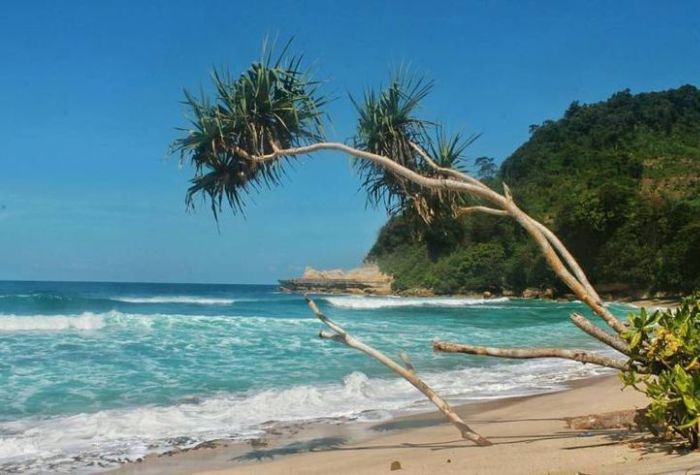 Apabila bosan dengan destinasi wisata mainstream, Tulungagung bisa jadi pilihan terbaik. Sebab banyak pantai dan kuliner legendaris.