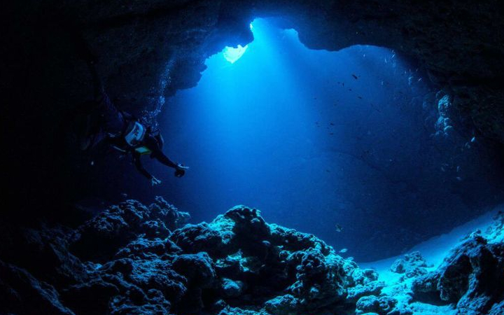 Palung Mariana (Mariana Trench) adalah cekungan laut terdalam di dunia yang terletak di Samudra Pasifik, sebelah timur Kepulauan Mariana.