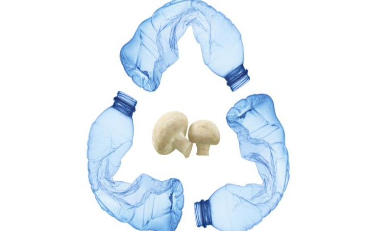 Plastik merupakan salah satu polutan terbesar di dunia yang membutuhkan waktu ratusan tahun untuk terurai secara alami.