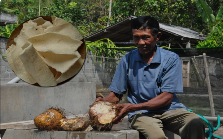 Siapa sangka umbi beracun bisa jadi camilan enak? Yuk, intip cerita keripik gadung khas Tulungagung yang makin populer!