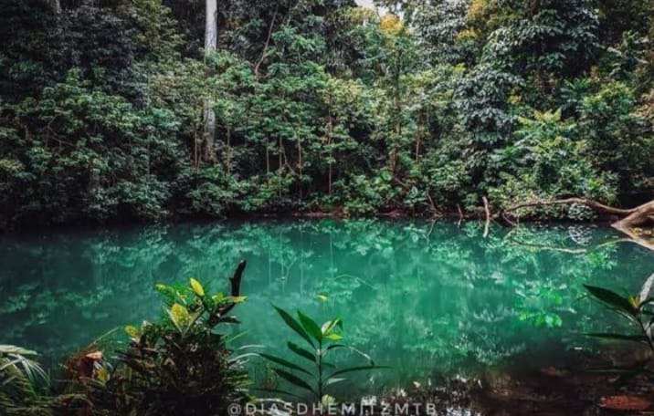 Telaga Buret Tulungagung, punya karakteristik yang unik.