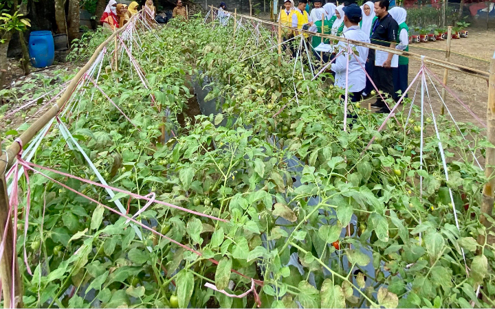 Program Sekolah Peduli Inflasi (SPI)  di Tulungagung bukan sekadar lomba kebun. Ini ladang pembuktian bahwa edukasi ekonomi bisa ditanam, dirawat, dan dipanen langsung dari halaman sekolah.