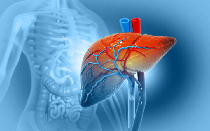 Deteksi dini hepatitis penting untuk cegah komplikasi berbahaya seperti kanker hati.