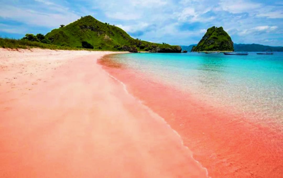 Keunikan alam di Nusa Tenggara Timur (NTT) termasuk Pantai Pink yang pasirnya benar-benar berwarna merah muda.