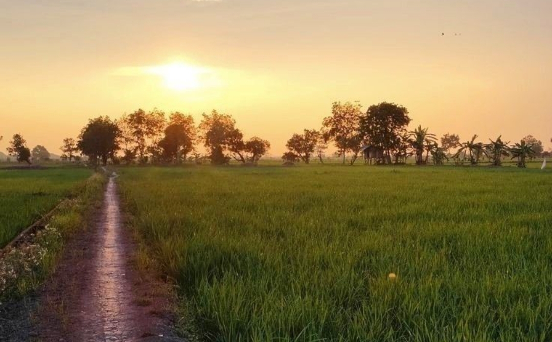 Tradisi jalan sore di Tulungagung ini memang tampak sederhana, tapi justru di situlah keistimewaannya.