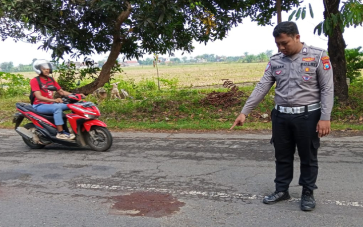 Kecelakaan lalu lintas beruntun di Tulungagung yang melibatkan tiga sepeda motor terjadi, dengan korban satu pelajar tewas, Senin (4/8/2025) pagi.&nbsp; &nbsp; &nbsp;