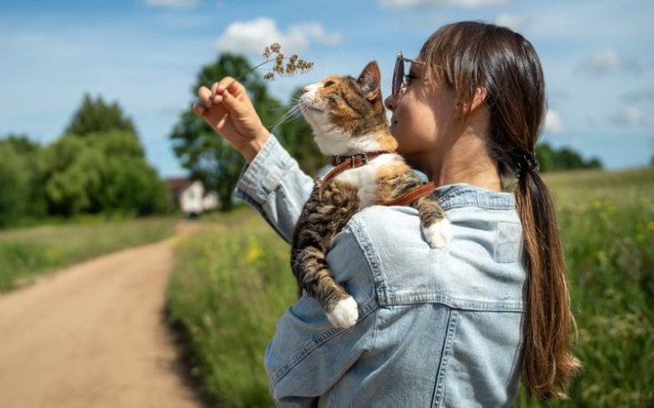 Perilaku kucing yang tampak