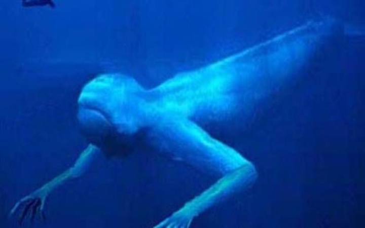 Ada yang bilang Antartika menyimpan monster raksasa yang belum terungkap. Fakta atau cuma mitos? Cari tahu kebenarannya di artikel ini