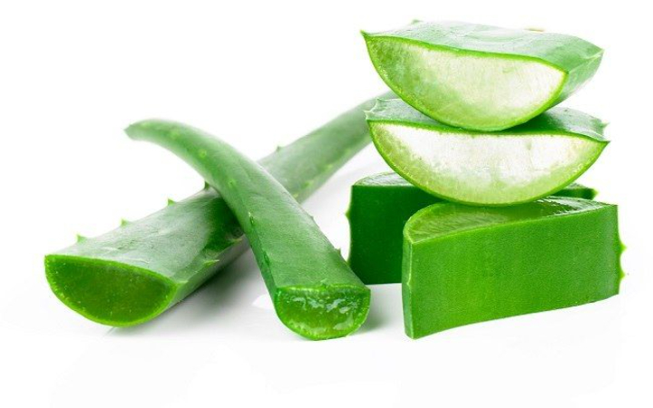 Lidah buaya sudah lama dikenal sebagai tanaman herbal serbaguna, terutama untuk merawat kulit dan rambut. Tapi ternyata, khasiat lidah buaya jauh lebih luas daripada yang banyak orang kira.