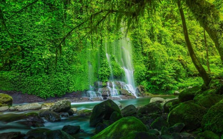 Indonesia, surga hijau dengan hutan tropis yang memukau dan menyimpan rahasia alam luar biasa.