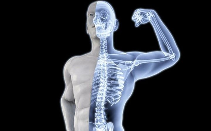 Magnesium adalah salah satu mineral esensial yang sering terlupakan, padahal perannya sangat besar bagi kesehatan tubuh manusia.